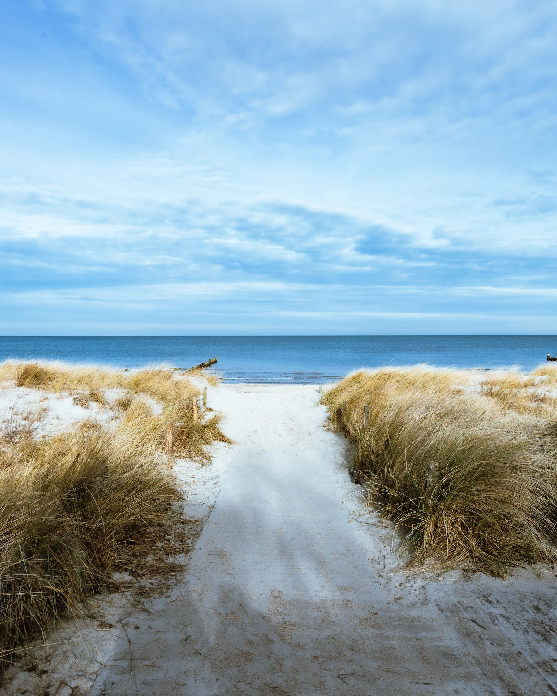 Fale Zatoki Gdańskiej obserwowane z plaży